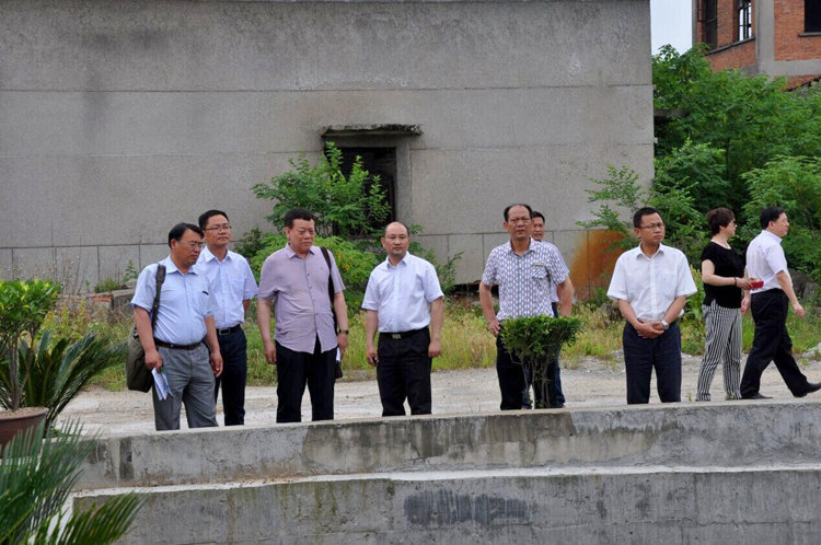 ȫѶ600cc��ײ�(�й�)���޹�˾����