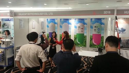 ȫѶ600cc��ײ�(�й�)���޹�˾����