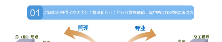 ȫѶ600cc��ײ�(�й�)���޹�˾����