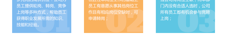 ȫѶ600cc��ײ�(�й�)���޹�˾����