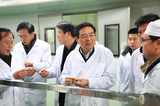 ȫѶ600cc��ײ�(�й�)���޹�˾����