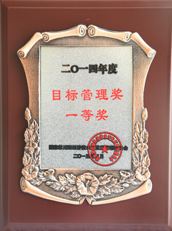 ȫѶ600cc��ײ�(�й�)���޹�˾����