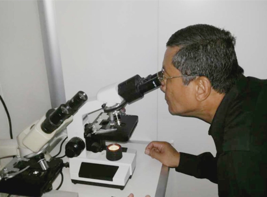 ȫѶ600cc��ײ�(�й�)���޹�˾����