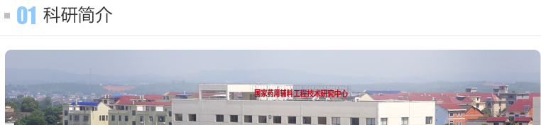 ȫѶ600cc��ײ�(�й�)���޹�˾����