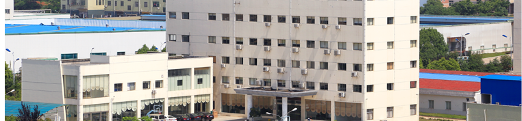 ȫѶ600cc��ײ�(�й�)���޹�˾����