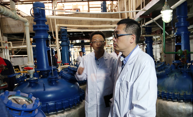 ȫѶ600cc��ײ�(�й�)���޹�˾����