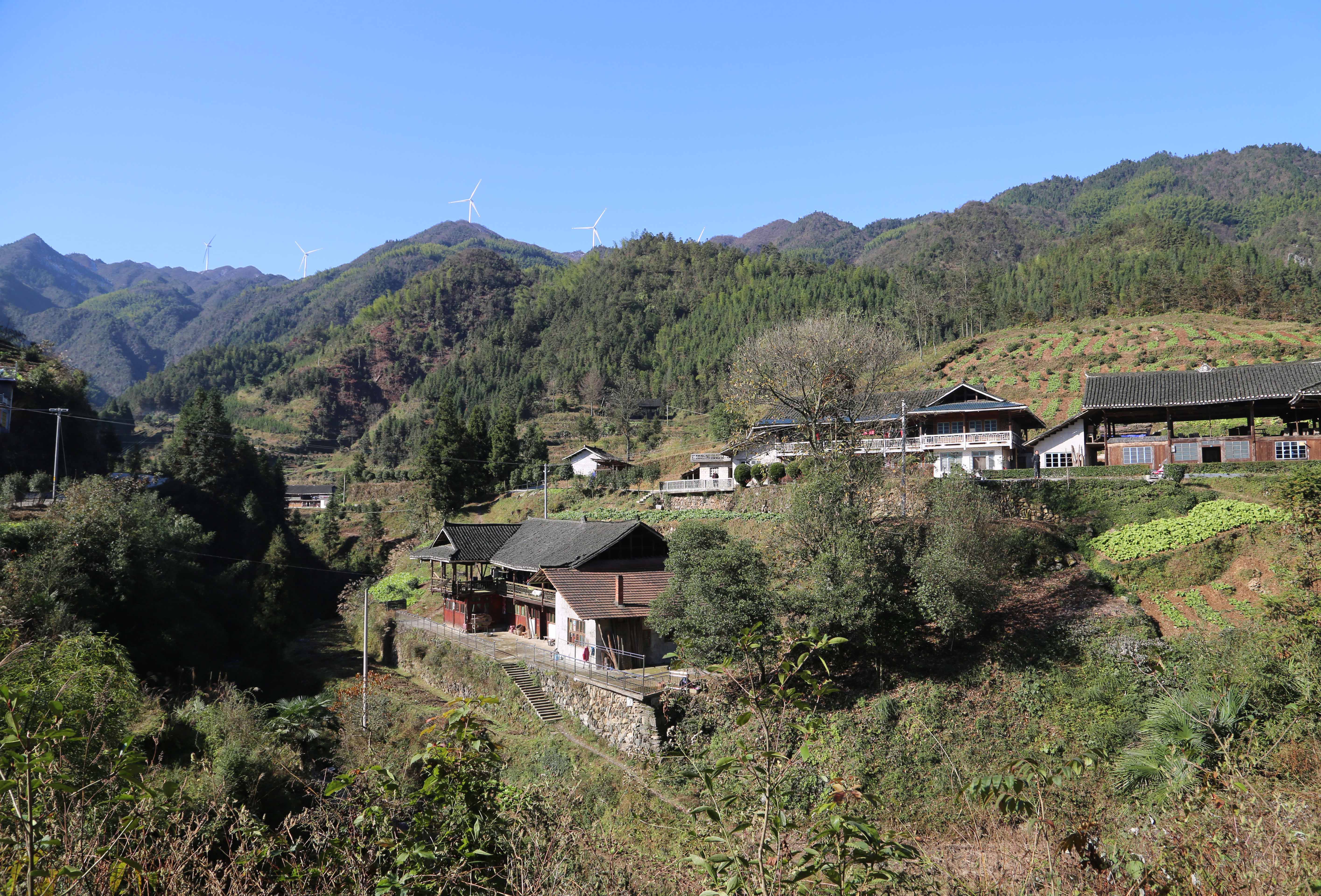 ȫѶ600cc��ײ�(�й�)���޹�˾����