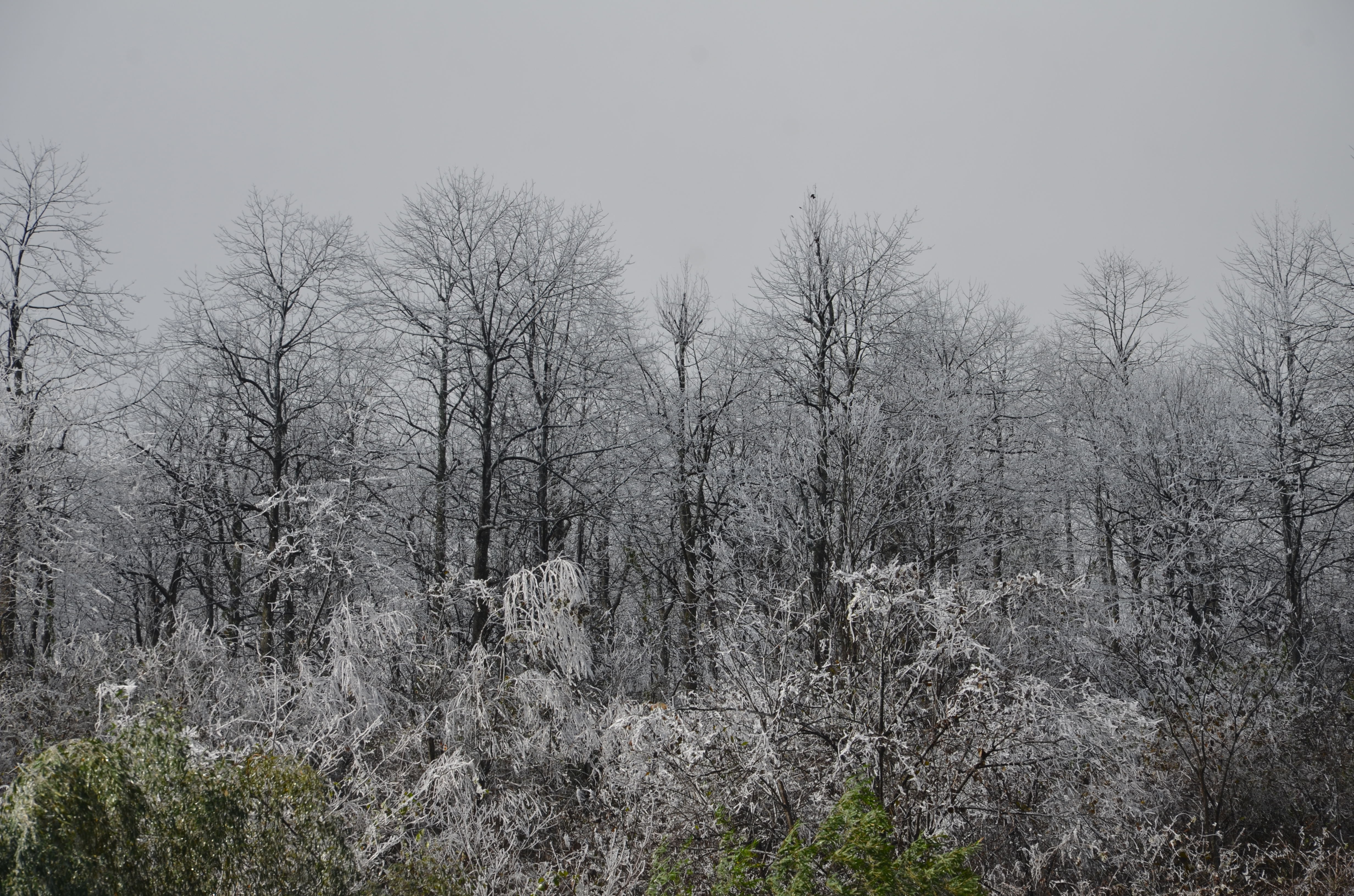 ȫѶ600cc��ײ�(�й�)���޹�˾����