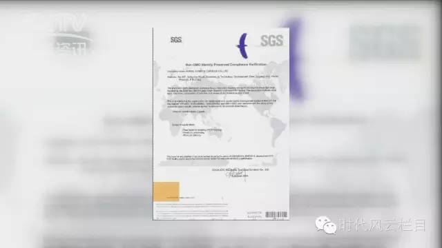 ȫѶ600cc��ײ�(�й�)���޹�˾����