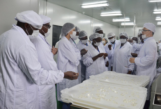 ȫѶ600cc��ײ�(�й�)���޹�˾����