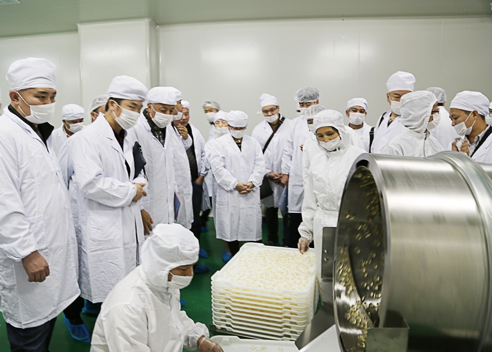 ȫѶ600cc��ײ�(�й�)���޹�˾����