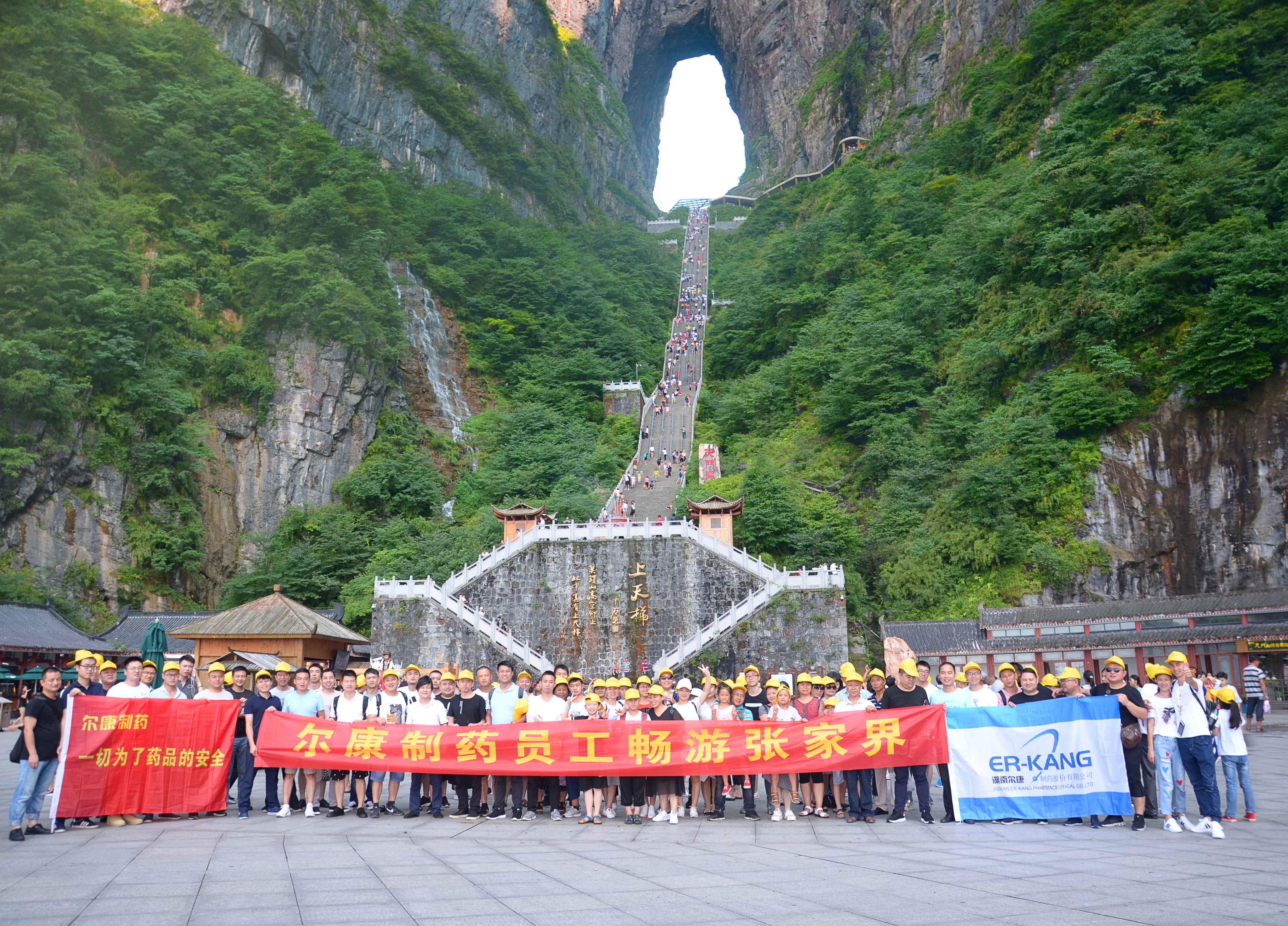 ȫѶ600cc��ײ�(�й�)���޹�˾����