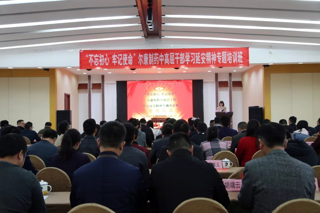 ȫѶ600cc��ײ�(�й�)���޹�˾����