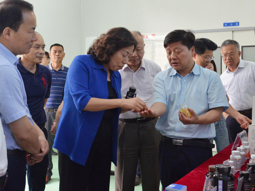 ȫѶ600cc��ײ�(�й�)���޹�˾����