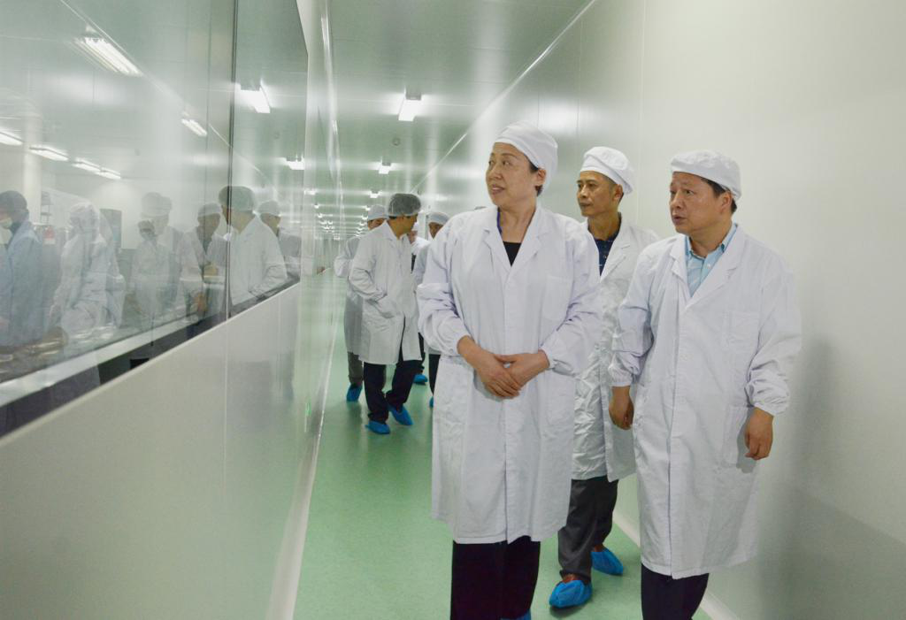 ȫѶ600cc��ײ�(�й�)���޹�˾����