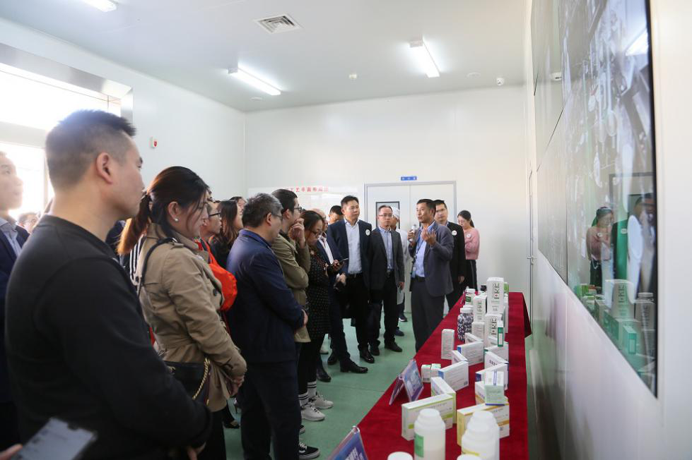 ȫѶ600cc��ײ�(�й�)���޹�˾����