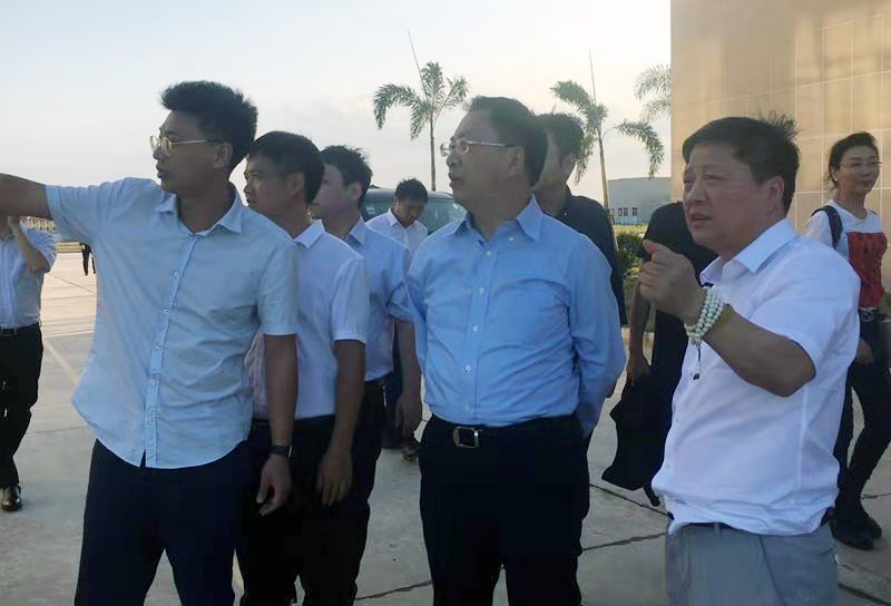 ȫѶ600cc��ײ�(�й�)���޹�˾����