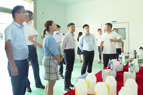 ȫѶ600cc��ײ�(�й�)���޹�˾����