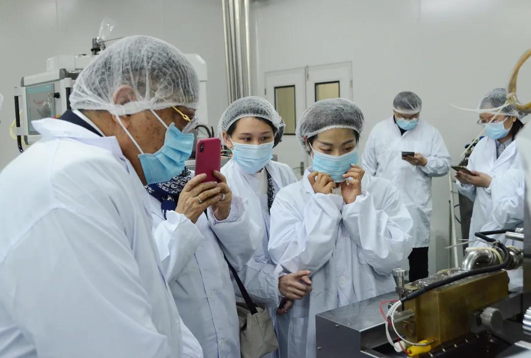 ȫѶ600cc��ײ�(�й�)���޹�˾����