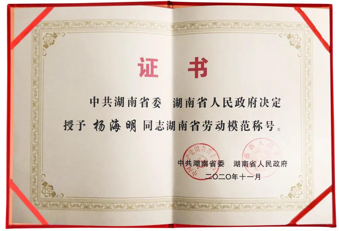 ȫѶ600cc��ײ�(�й�)���޹�˾����