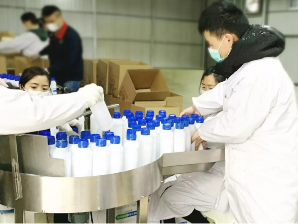 ȫѶ600cc��ײ�(�й�)���޹�˾����