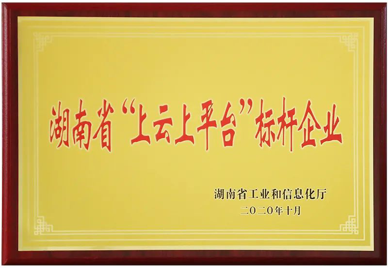 ȫѶ600cc��ײ�(�й�)���޹�˾����