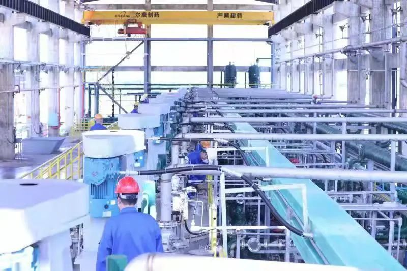 ȫѶ600cc��ײ�(�й�)���޹�˾����