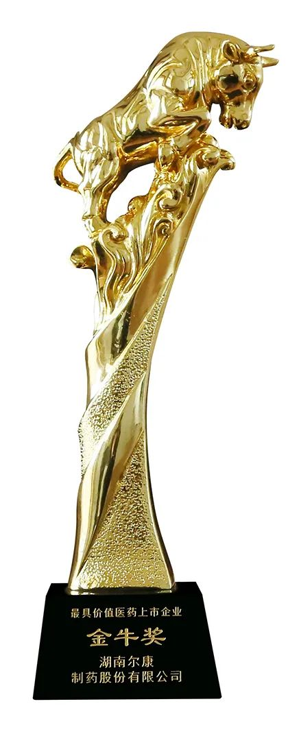 ȫѶ600cc��ײ�(�й�)���޹�˾����