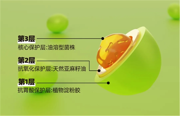 ȫѶ600cc��ײ�(�й�)���޹�˾����