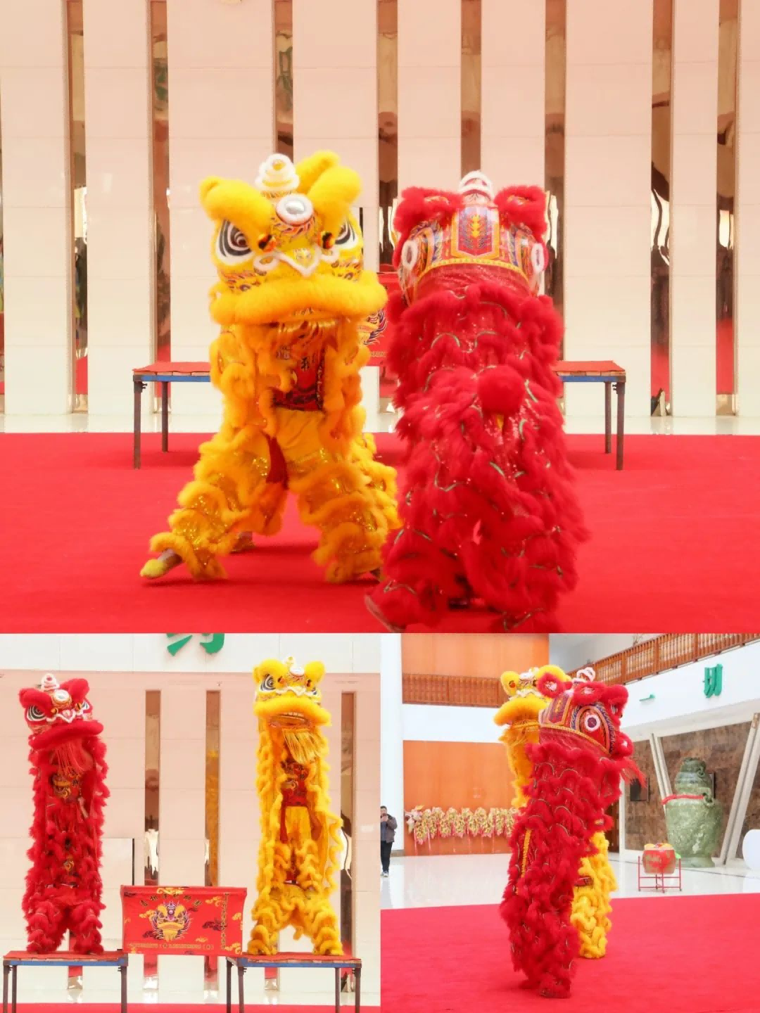 ȫѶ600cc��ײ�(�й�)���޹�˾����